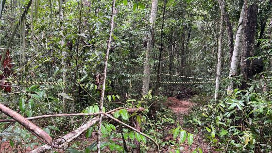 O resultado foi obtido a partir da identificação de vínculo genético com o irmão da vítima, que forneceu amostra genética na unidade da Politec do município.