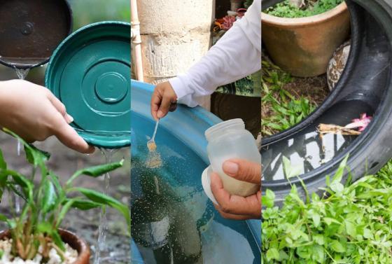 Chikungunya teve 581 notificações e dengue 127,3 notificações por semana, nos primeiros três meses deste ano.