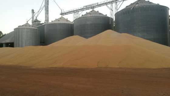 Após a retirada, o corpo foi entregue a Perícia Oficial de Identificação Técnica (Politec) para realização dos procedimentos cabíveis.