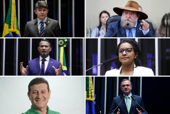 Medeiros, Barbudo, Assis, Gisela, Zaeli, Fagundes assinaram pedido capitaneado por Coronel Fernanda