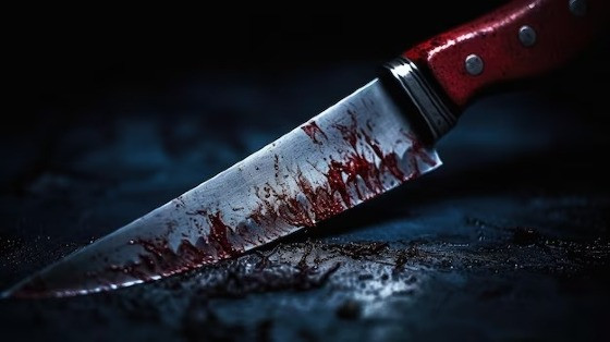 Mãe tenta matar filha a facadas, em Lucas do Rio Verde