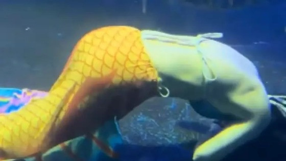 Caso foi registrado na sexta-feira (23).