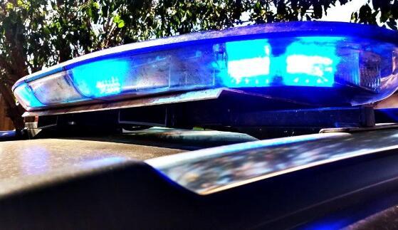 A Polícia Militar foi acionada por testemunhas. 