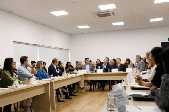 Mesa técnica que discute soluções para a crise dos empréstimos consignados do estado.