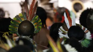 comissão do Senado avança na tentativa de derrubar demarcação de terras indígenas em SC