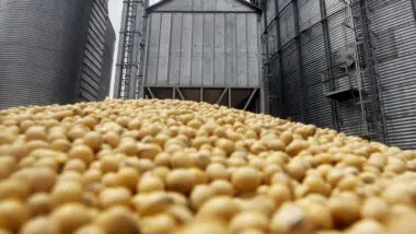 Referência em biocombustíveis, Brasil mostra que tese de prejuízo a alimentos não se sustenta. Leia na Gazeta do Povo!