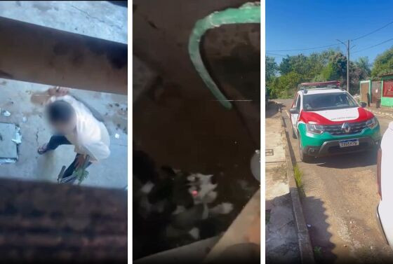 Animal apanhava e ficava sem água.