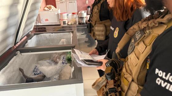 As investigações foram iniciadas em dezembro de 2024, sob a coordenação da Delegacia Especializada de Meio Ambiente (Dema)