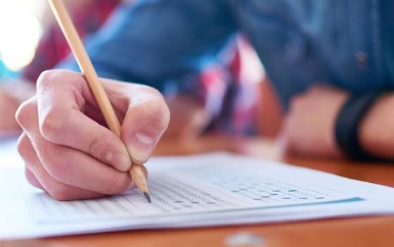 Oportunidades em MT têm salários de até R$11,5 mil