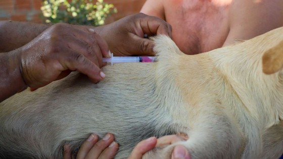 O superintendente de Vigilância em Saúde, Carlos Valadares, destaca a importância da campanha e a mobilização das equipes municipais. 