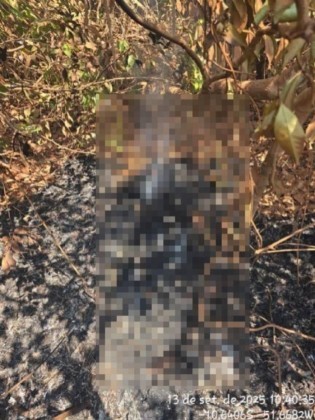 Corpo carbonizado foi encontrado em zona rural de Confresa
