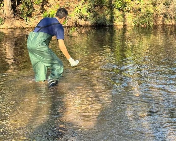 Testes foram feitos pela Sema.