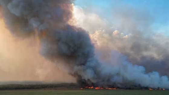 Um vídeo compartilhado nas redes sociais, mostra a altura das chamas e a fumaça cinza encobrindo o céu.