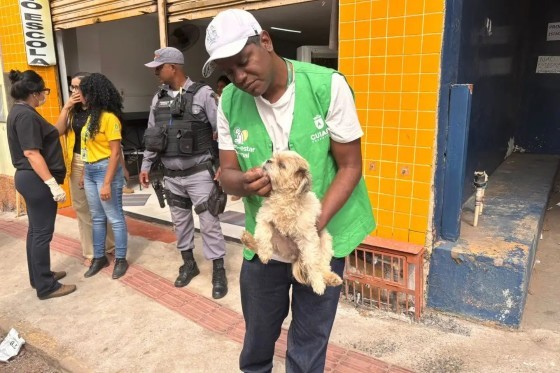 Cão é encontrado em casa onde mãe e filho estavam mortos