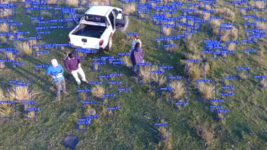 Modelo de IA desenvolvido para agropecuária de precisão identifica a presença de capim-annoni em pastagens. Gramínea é considerada praga em fazendas do Rio Grande do Sul