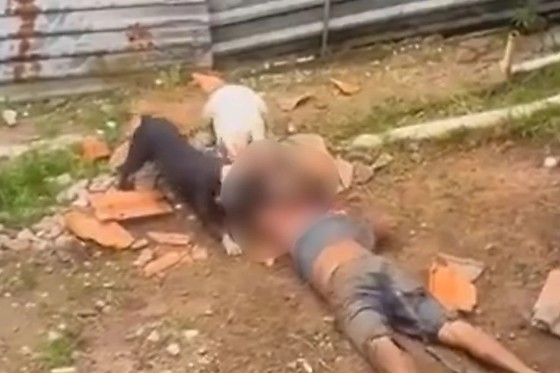 Causa da morte foi rabdomiólise, que é a destruição dos músculos, que liberam seu conteúdo na corrente sanguínea.