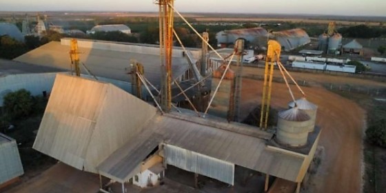 Um complexo industrial de processamento e armazenamento de grãos, com área total de 58 mil m², está sendo leiloado