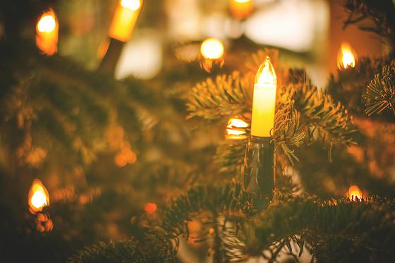 Decoração de Natal pode virar perigo: veja o que evitar.
