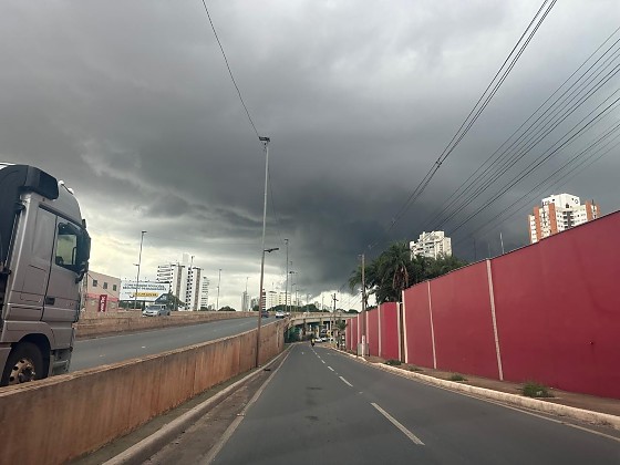 Segundo o Inmet, a orientação é evitar abrigo sob árvores durante rajadas de vento