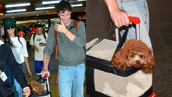 Bruna Marquezine viaja com Shawn Mendes e leva cachorro que adotou com João Guilherme.