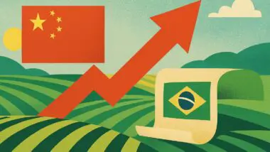 Entre 2000 e 2024, participação da China nas exportações do agro brasileiro saltaram de 2,73% para 30,24%
