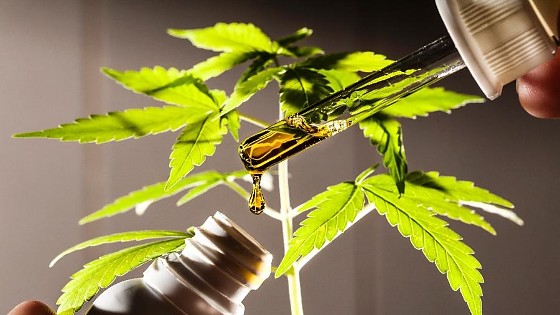 Hoje, só pacientes em cuidados paliativos ou com condições clínicas irreversíveis ou terminais podiam usar produtos acima desse índice. Agora, pacientes com doenças debilitantes graves também vão poder usar.