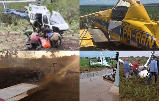 Ao longo do ano, ao menos sete ocorrências foram registradas em diferentes regiões do estado