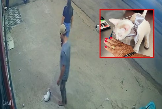 Tico foi adotado pela família em Capitão Poço