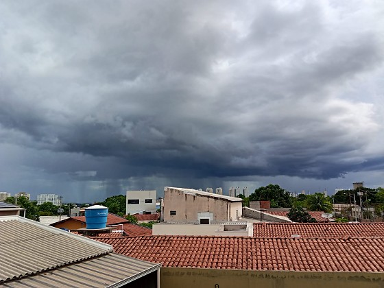 O Inmet orienta que, durante rajadas de vento, a população evite se abrigar debaixo de árvores.
