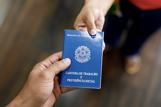 As exigências variam desde o nível alfabetizado (Ajudante de Carga e Descarga) até o Ensino Superior (Técnico Eletrônico). 