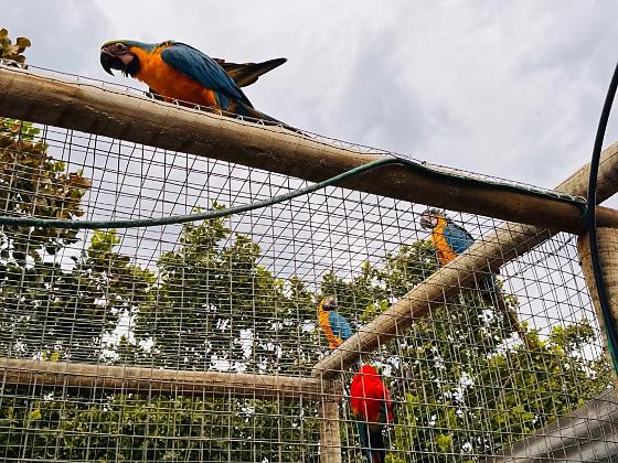 A secretaria conta com um total de 31 guardiões ativos, sendo destes 7 aprovados no ano passado.