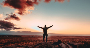 Você ainda está em ritmo de folia? Como retomar o eixo no ano 1