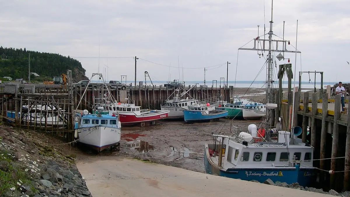 Baía de Fundy, onde o mar desaparece duas vezes ao dia.