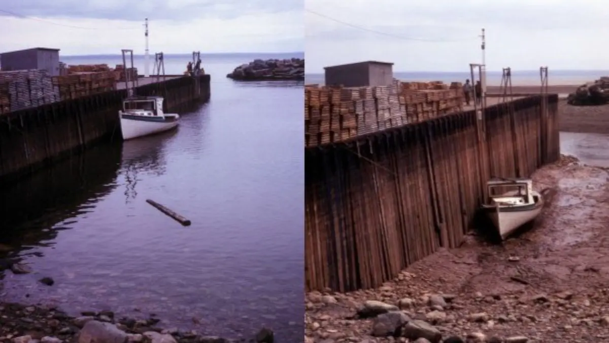 Baía de Fundy, no Canadá. Onde a maré oscila durante o dia.