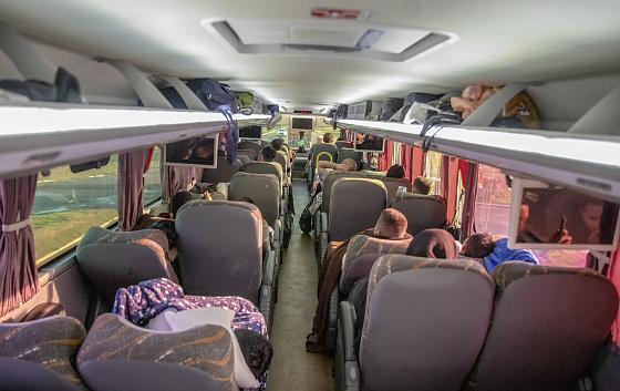 As empresas de transporte deverão emitir passagens apenas mediante apresentação da documentação exigida.