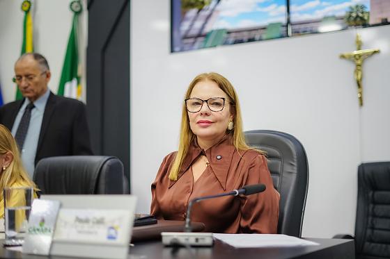 A presidente ressaltou que o pleito, previsto para ocorrer em agosto deste ano, deve transcorrer de forma natural