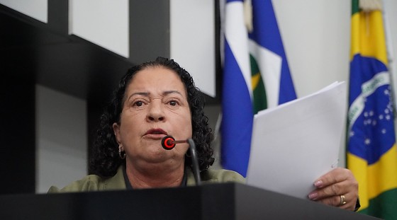 Proposta de Baixinha Giraldelli cria programa “Escola Segura”, texto também autoriza parcerias com forças de segurança.