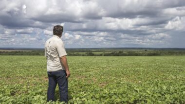 Fim da escala 6x1 geraria aumento imediato de custos de 9,62% ao agro, segundo estudo do Ipea