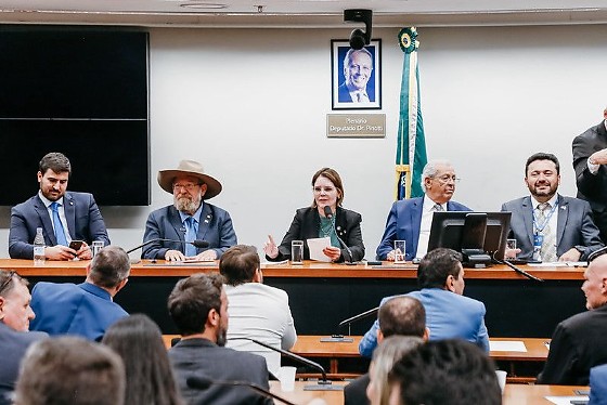 Coronel Fernanda destacou que o contato direto com os prefeitos é fundamental para garantir que as necessidades dos municípios cheguem ao Congresso Nacional.