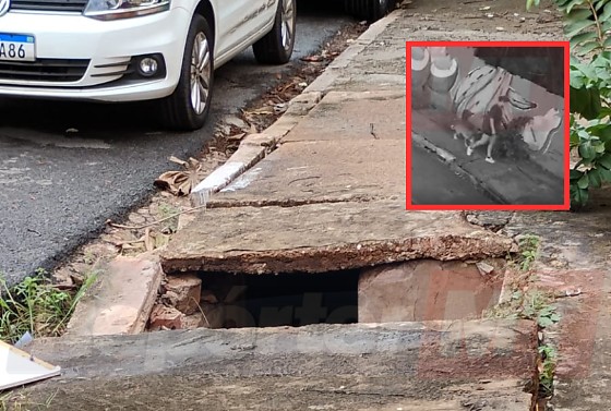 O acidente ocorreu por volta das 18h deste domingo (17), no bairro Quilombo.