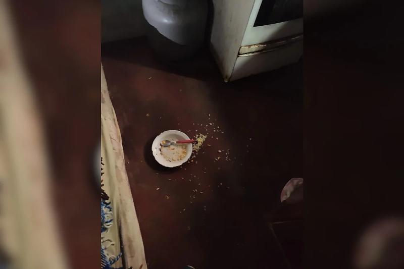 criança 2 anos