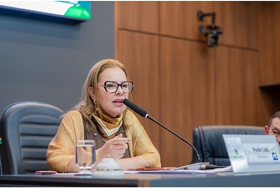 A presidente disse que ala feminina esvazia representatividade de lideranças das mulheres na Casa.