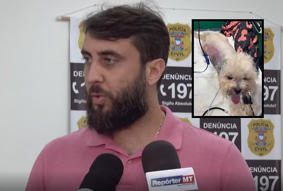 Delegado Guilherme Pompeo disse que proprietária de Petshop alegou falha na máquina de secar