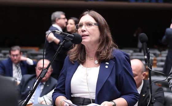 Bia Kicis é relatora do projeto